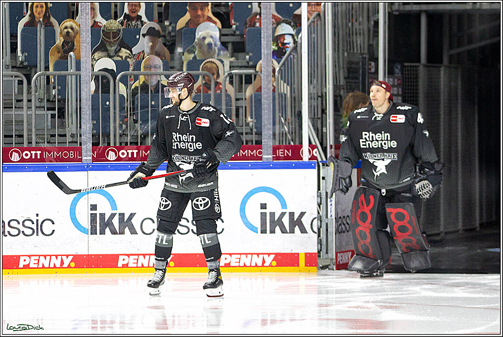 PENNY DEL;  Koelner Haie - Wolfsburg Grizzlys; Koeln, 17.03.2021